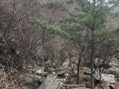 -王顺山国家森林公园