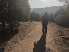 -白水寺森林公园