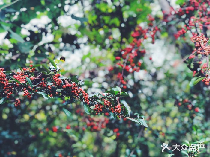 剑门关风景区图片