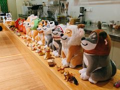 -柴务处·柴犬主题狗咖