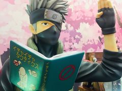 -火影忍者动画多媒体展