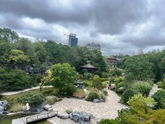 -上海吴淞炮台湾国家湿地公园