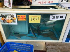 -西归浦每天偶来市场