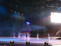 -灵玲国际马戏城