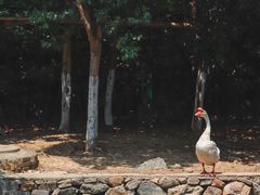 -东海半边山旅游度假区