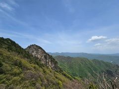 -牛背梁国家森林公园