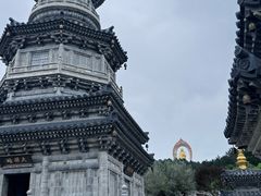-庐山风景名胜区-东林大佛
