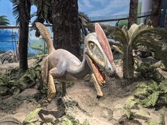 -辽宁古生物博物馆