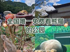 -黔灵山公园