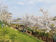 -羊山湖公园