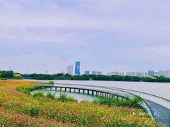 -海珠湖公园