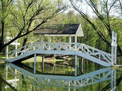 -上海共青森林公园