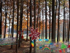 -上海海湾国家森林公园