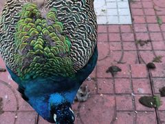 -南京金牛湖风景区