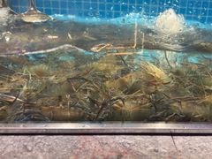 -曼格活海鲜·牛排自助(光明蓝鲸店)