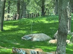 -北京野生动物园