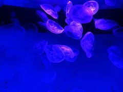 -沈阳海洋探索中心