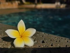 -海南清水湾莱佛士酒店