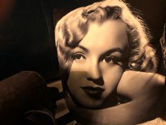 -Strawberry Butterfly草莓蝴蝶日式水果挞