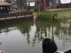 -枫香湖儿童公园