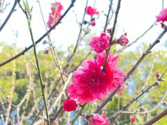 -桃花涧