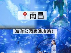 -南昌海洋公园