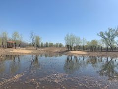 -东郊湿地公园