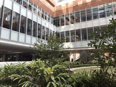 -香港大学