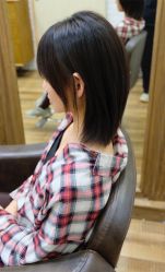 -IDOL-PLUS