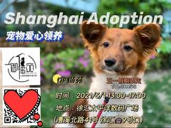 -太平洋数码广场