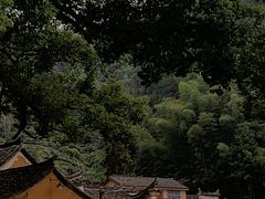 -杨家堂村