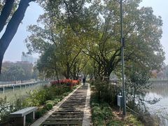 -月湖风景区