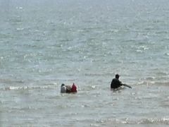 -日照海滨国家森林公园
