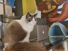 -咖法森林·咖啡  酒吧(天河店)