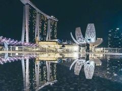 -新加坡摩天观景轮