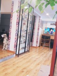 -英刺青 纹身 洗纹身