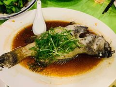清蒸石斑鱼-盛港湾海鲜食府(黄沙店)