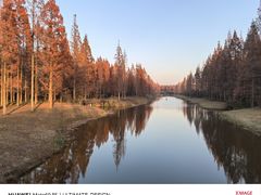 -黄海国家森林公园