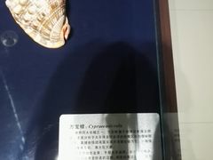 -青岛贝壳博物馆