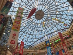 -高新活力汇Vitality