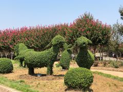 -武汉紫薇都市田园