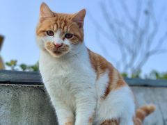 -UNIUNI(凯瑟琳广场店)