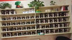 -丽减美瘦吧·瘦身塑形