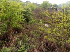 -终南山国家森林公园