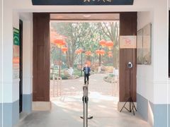 -瀛洲公园