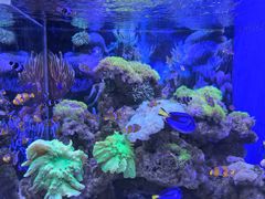 -多彩贵州城极地海洋世界