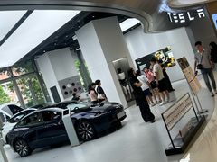 -TESLA 特斯拉(广州天环广场体验店)