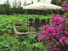 -洪湖家庭农场·团建·露营·会议