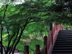 -棠湖公园