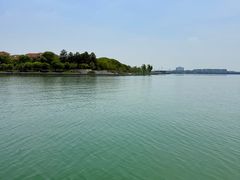 -金鸡湖桃花岛